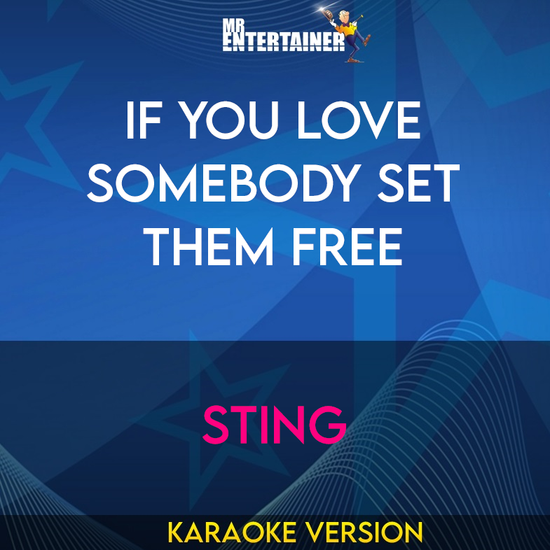 If You Love Somebody Set Them Free - Sting (Karaoke Version) from Mr Entertainer Karaoke