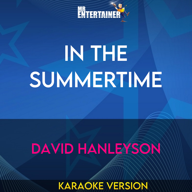 In The Summertime - David Hanleyson (Karaoke Version) from Mr Entertainer Karaoke