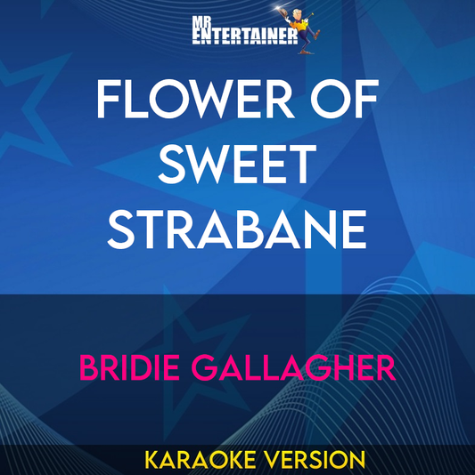 Flower Of Sweet Strabane - Bridie Gallagher (Karaoke Version) from Mr Entertainer Karaoke