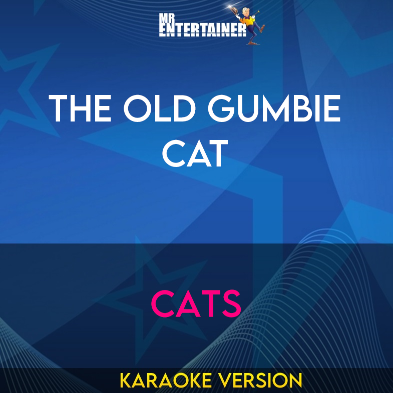 The Old Gumbie Cat - Cats (Karaoke Version) from Mr Entertainer Karaoke