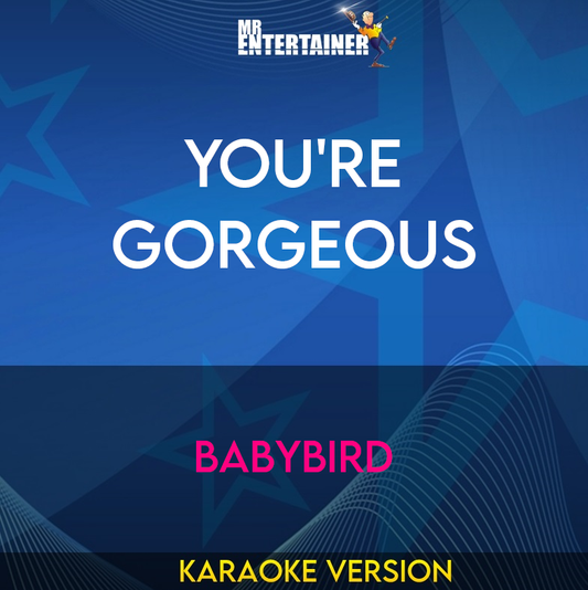 You're Gorgeous - Babybird (Karaoke Version) from Mr Entertainer Karaoke