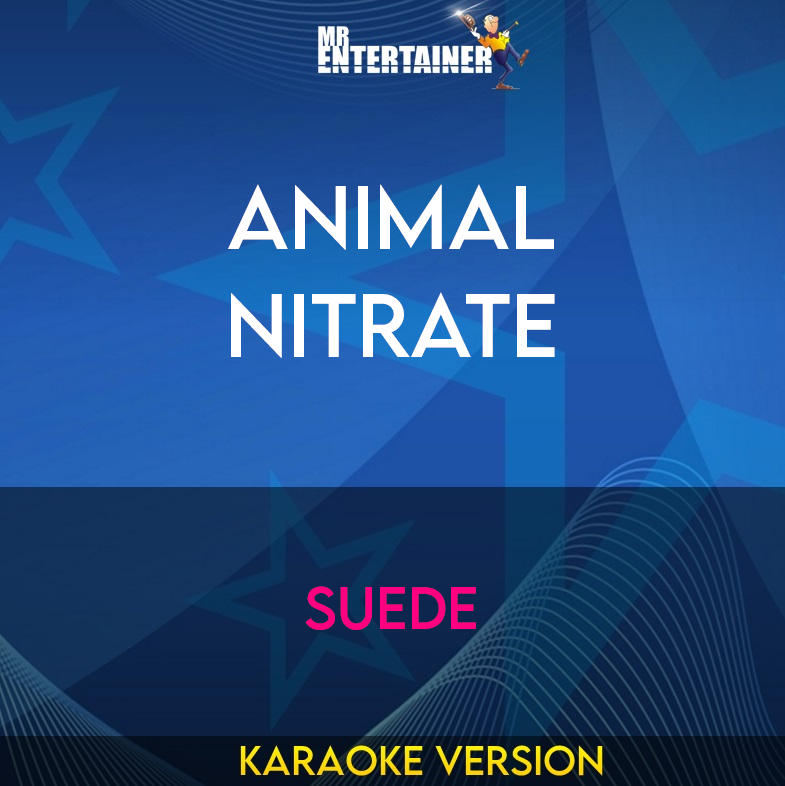 Animal Nitrate - Suede (Karaoke Version) from Mr Entertainer Karaoke