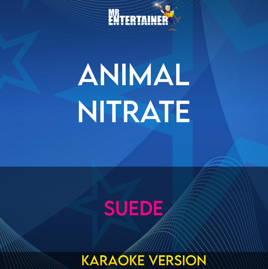 Animal Nitrate - Suede (Karaoke Version) from Mr Entertainer Karaoke