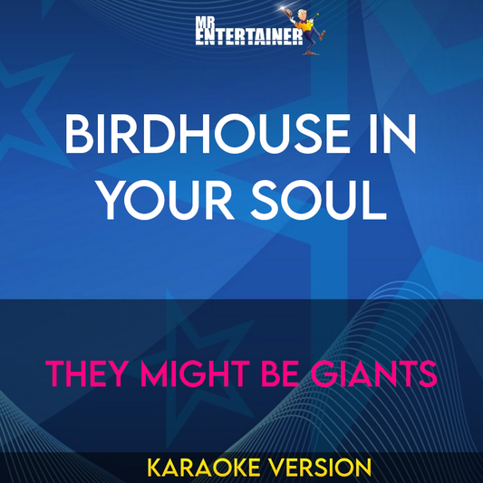 Birdhouse In Your Soul - They Might Be Giants (Karaoke Version) from Mr Entertainer Karaoke