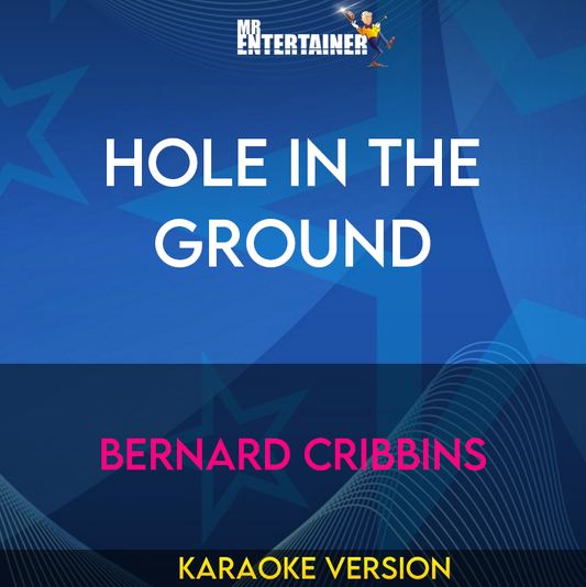 Hole In The Ground - Bernard Cribbins (Karaoke Version) from Mr Entertainer Karaoke