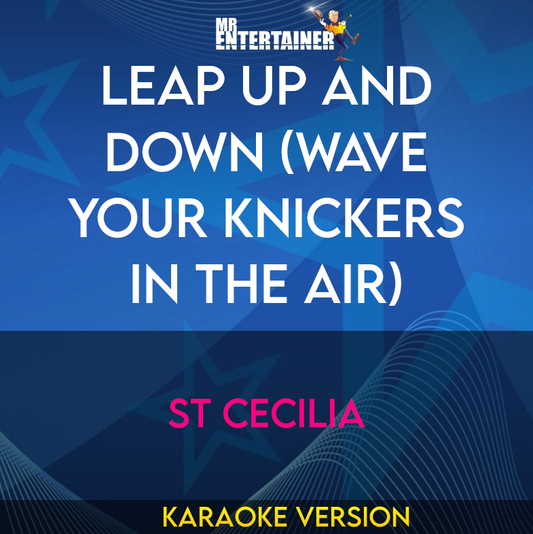 Leap Up And Down (wave Your Knickers In The Air) - St Cecilia (Karaoke Version) from Mr Entertainer Karaoke