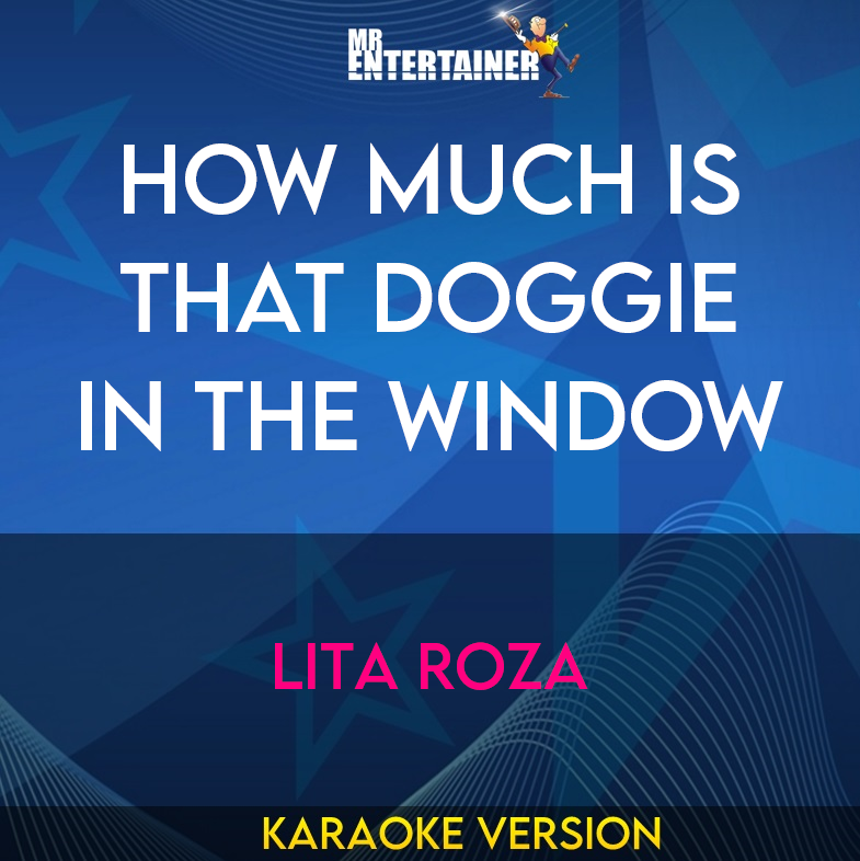 How Much Is That Doggie In The Window - Lita Roza (Karaoke Version) from Mr Entertainer Karaoke