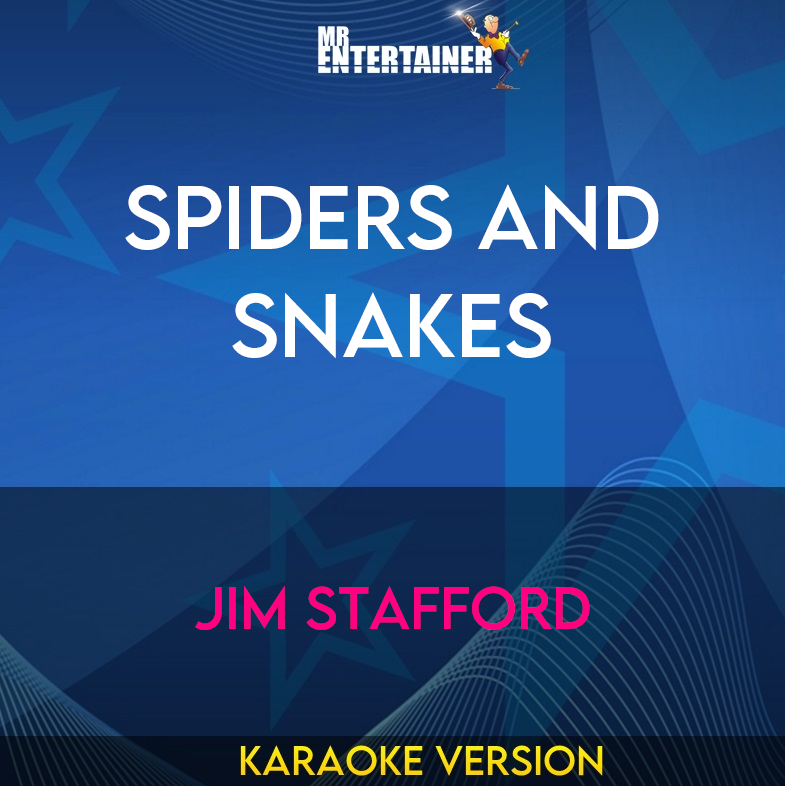 Spiders And Snakes - Jim Stafford (Karaoke Version) from Mr Entertainer Karaoke