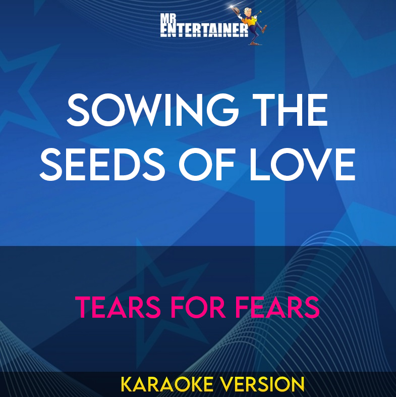 Sowing The Seeds Of Love - Tears For Fears (Karaoke Version) from Mr Entertainer Karaoke