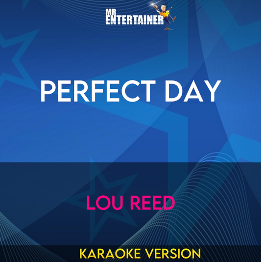 Perfect Day - Lou Reed (Karaoke Version) from Mr Entertainer Karaoke