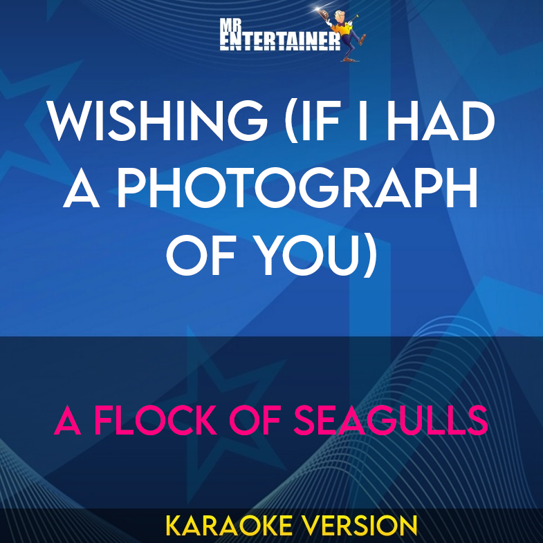 Wishing (if I Had A Photograph Of You) - A Flock Of Seagulls (Karaoke Version) from Mr Entertainer Karaoke