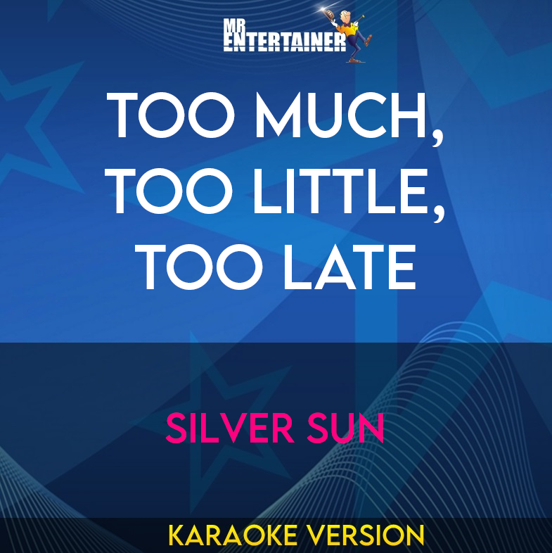 Too Much, Too Little, Too Late - Silver Sun (Karaoke Version) from Mr Entertainer Karaoke