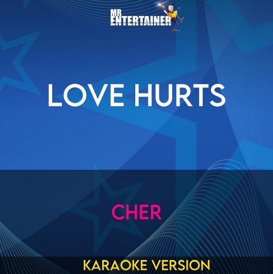 Love Hurts - Cher (Karaoke Version) from Mr Entertainer Karaoke