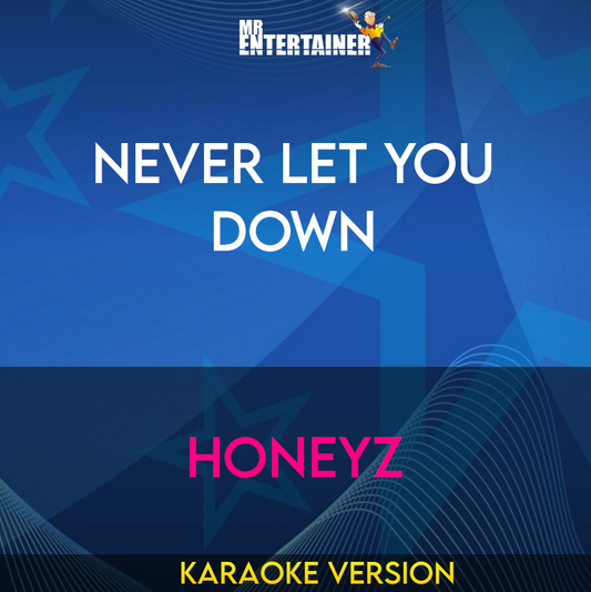 Never Let You Down - Honeyz (Karaoke Version) from Mr Entertainer Karaoke