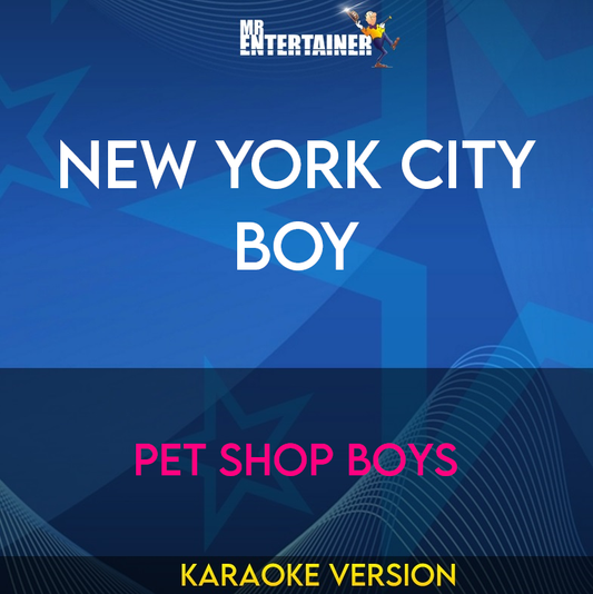 New York City Boy - Pet Shop Boys (Karaoke Version) from Mr Entertainer Karaoke