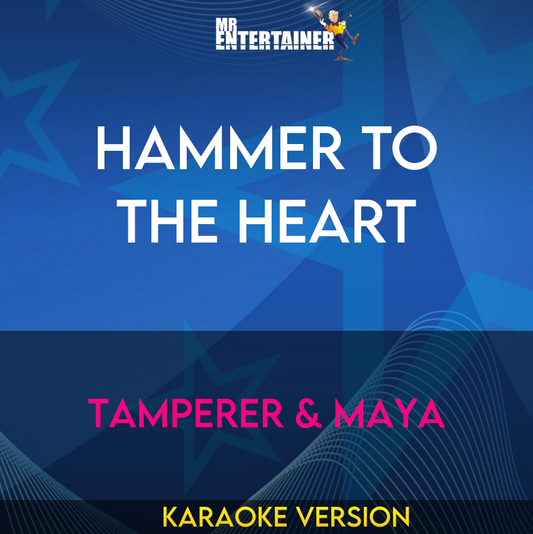 Hammer To The Heart - Tamperer & Maya (Karaoke Version) from Mr Entertainer Karaoke