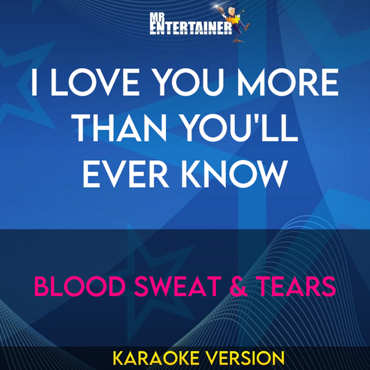 I Love You More Than You'll Ever Know - Blood Sweat & Tears (Karaoke Version) from Mr Entertainer Karaoke