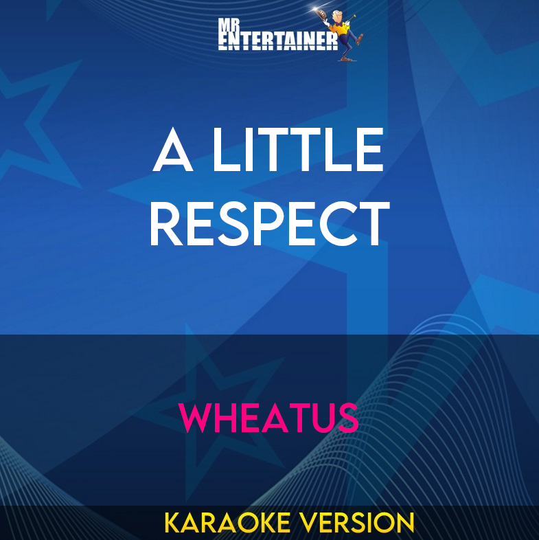 A Little Respect - Wheatus (Karaoke Version) from Mr Entertainer Karaoke