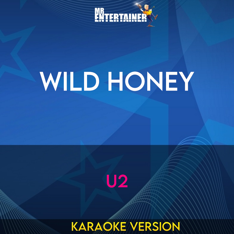 Wild Honey - U2 (Karaoke Version) from Mr Entertainer Karaoke