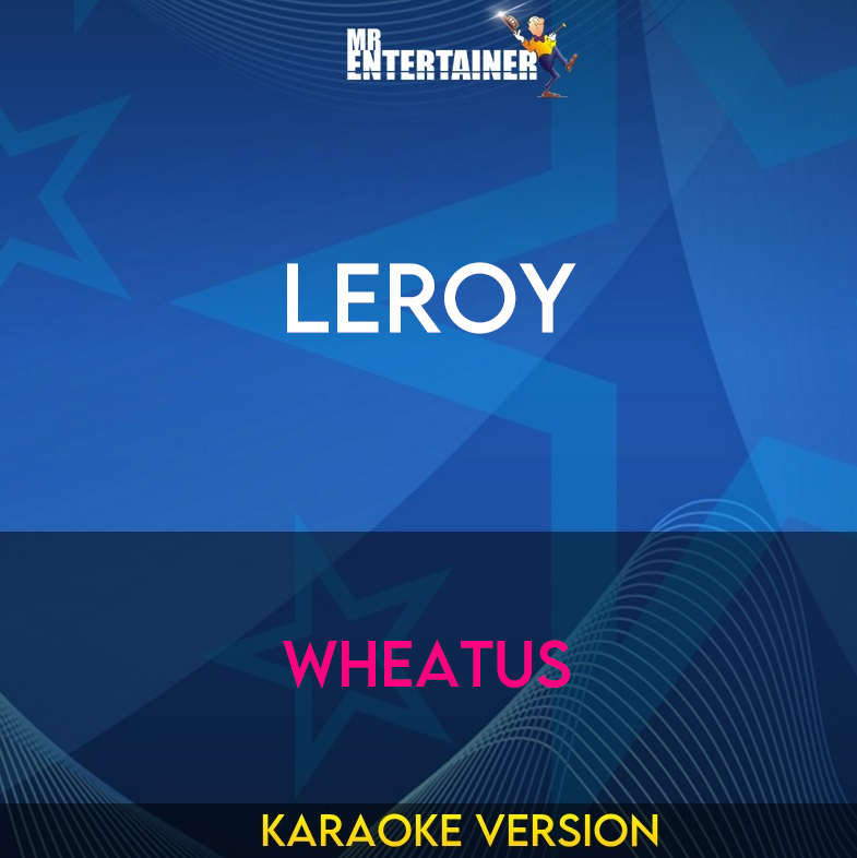Leroy - Wheatus (Karaoke Version) from Mr Entertainer Karaoke