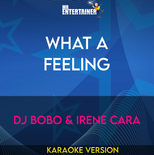 What A Feeling - DJ Bobo & Irene Cara (Karaoke Version) from Mr Entertainer Karaoke