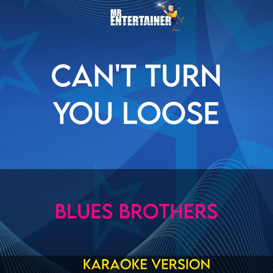 Can't Turn You Loose - Blues Brothers (Karaoke Version) from Mr Entertainer Karaoke