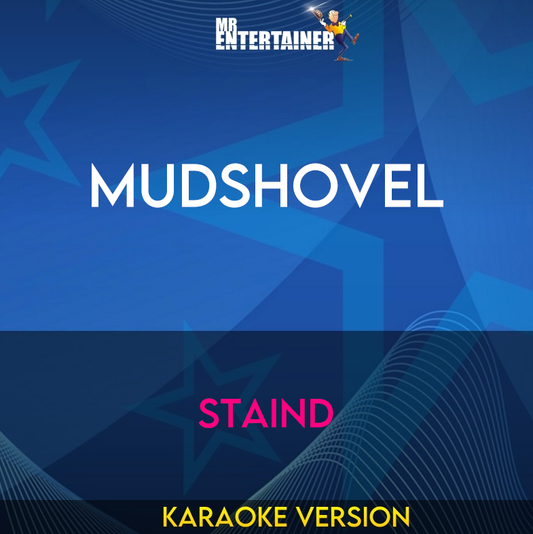 Mudshovel - Staind (Karaoke Version) from Mr Entertainer Karaoke