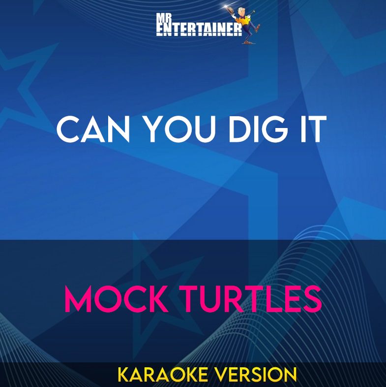 Can You Dig It - Mock Turtles (Karaoke Version) from Mr Entertainer Karaoke