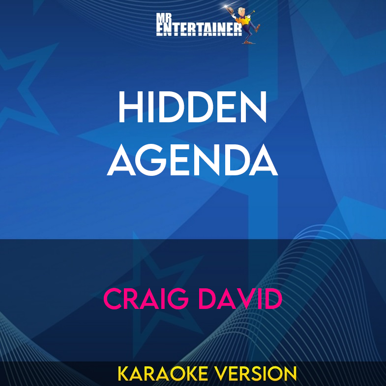 Hidden Agenda - Craig David (Karaoke Version) from Mr Entertainer Karaoke