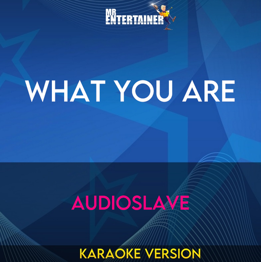 What You Are - Audioslave (Karaoke Version) from Mr Entertainer Karaoke