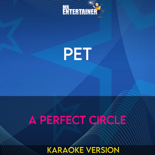 Pet - A Perfect Circle (Karaoke Version) from Mr Entertainer Karaoke