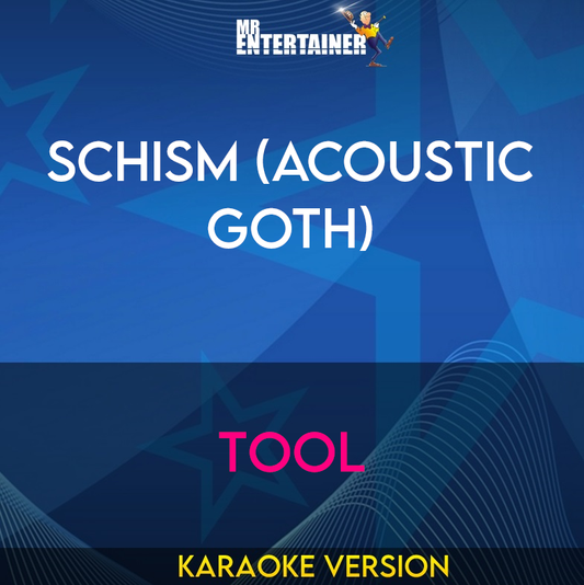 Schism (acoustic Goth) - Tool (Karaoke Version) from Mr Entertainer Karaoke