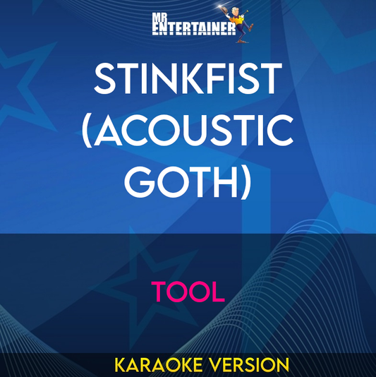 Stinkfist (acoustic Goth) - Tool (Karaoke Version) from Mr Entertainer Karaoke