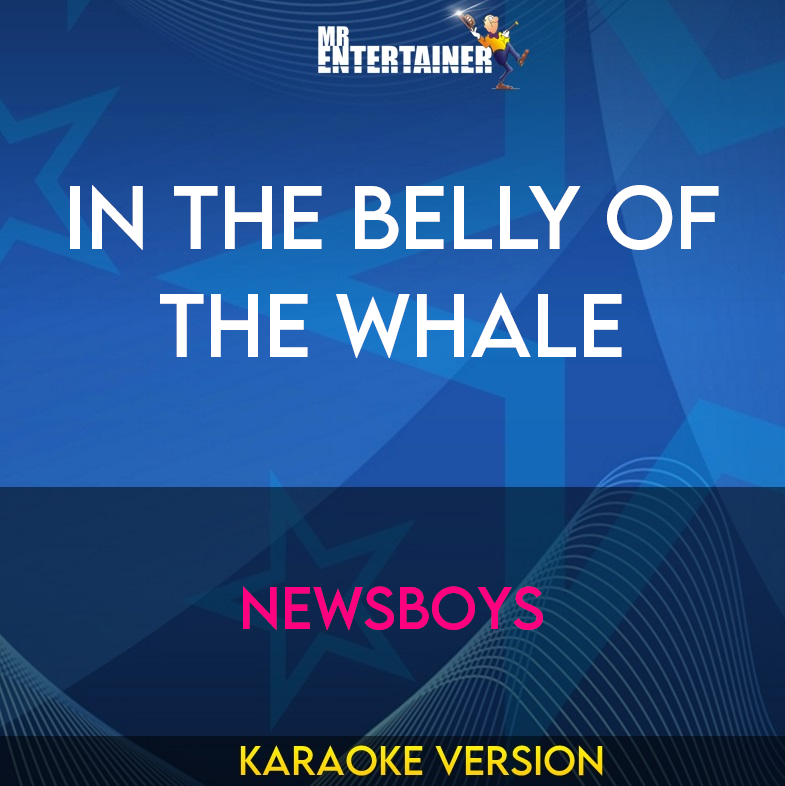 In The Belly Of The Whale - Newsboys (Karaoke Version) from Mr Entertainer Karaoke