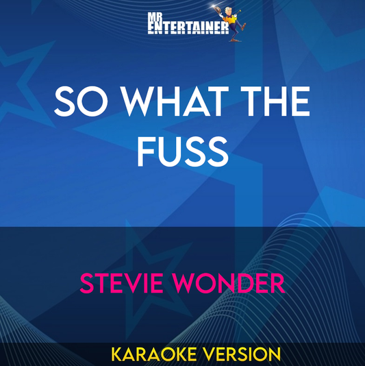 So What The Fuss - Stevie Wonder (Karaoke Version) from Mr Entertainer Karaoke