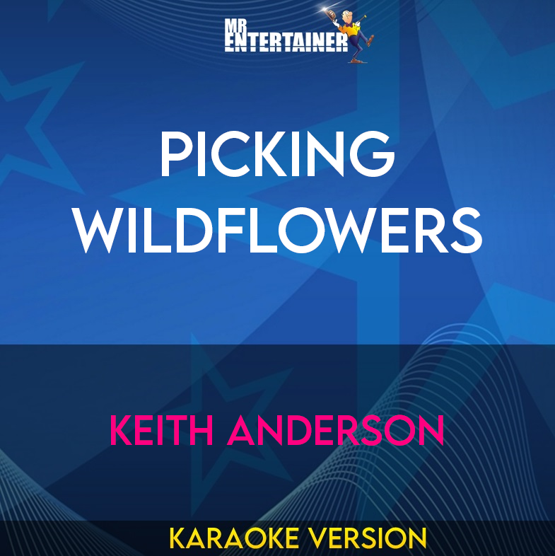 Picking Wildflowers - Keith Anderson (Karaoke Version) from Mr Entertainer Karaoke