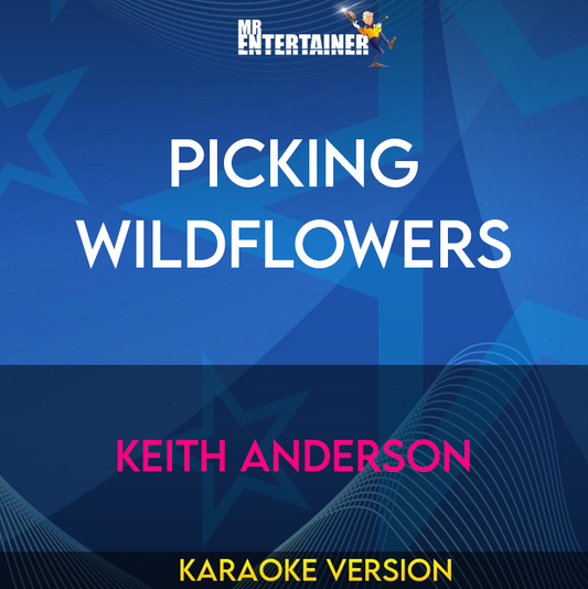 Picking Wildflowers - Keith Anderson (Karaoke Version) from Mr Entertainer Karaoke