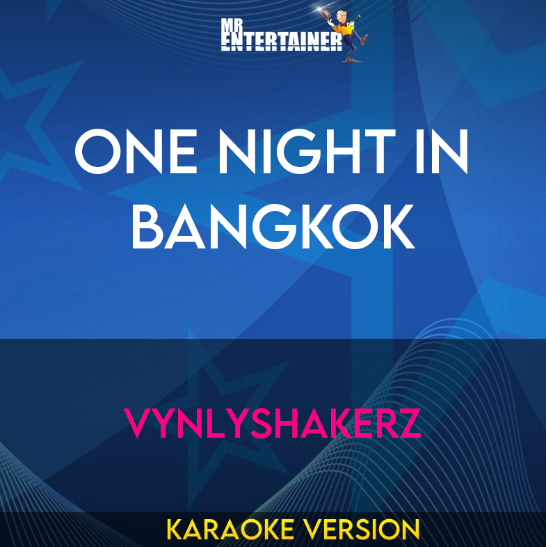 One Night In Bangkok - Vynlyshakerz (Karaoke Version) from Mr Entertainer Karaoke