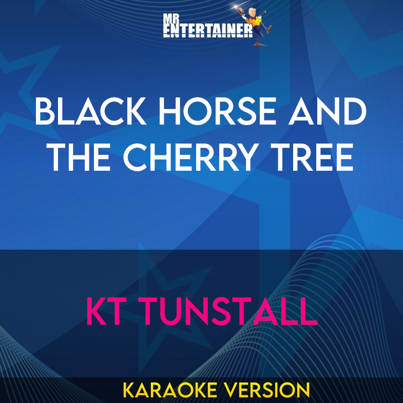 Black Horse And The Cherry Tree - KT Tunstall (Karaoke Version) from Mr Entertainer Karaoke