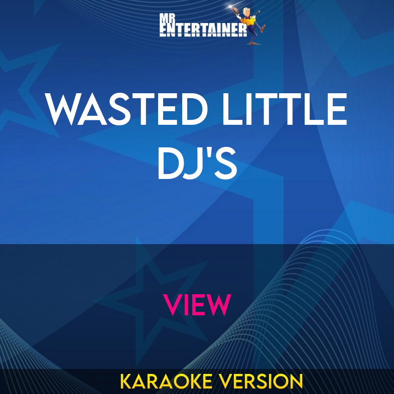 Wasted Little Dj's - View (Karaoke Version) from Mr Entertainer Karaoke