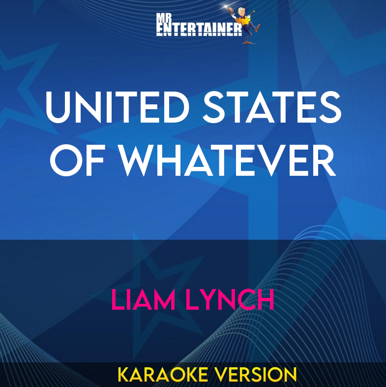 United States Of Whatever - Liam Lynch (Karaoke Version) from Mr Entertainer Karaoke