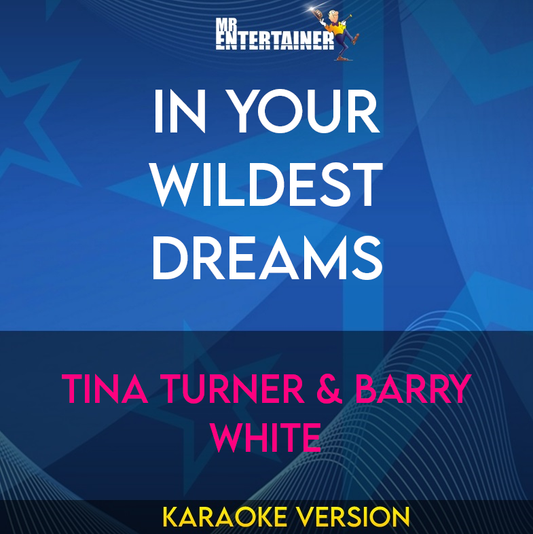 In Your Wildest Dreams - Tina Turner & Barry White (Karaoke Version) from Mr Entertainer Karaoke