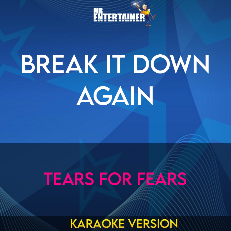 Break It Down Again - Tears For Fears (Karaoke Version) from Mr Entertainer Karaoke