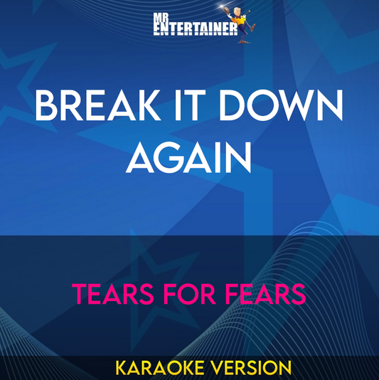 Break It Down Again - Tears For Fears (Karaoke Version) from Mr Entertainer Karaoke