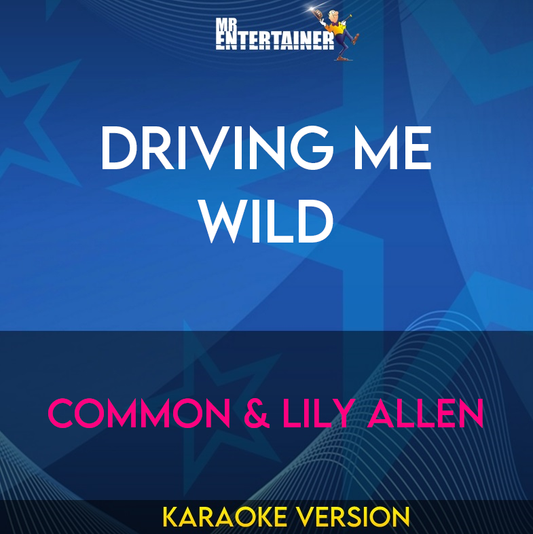 Driving Me Wild - Common & Lily Allen (Karaoke Version) from Mr Entertainer Karaoke