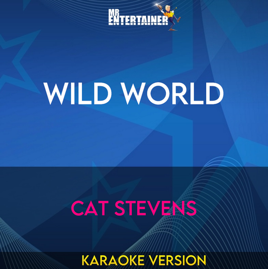 Wild World - Cat Stevens (Karaoke Version) from Mr Entertainer Karaoke