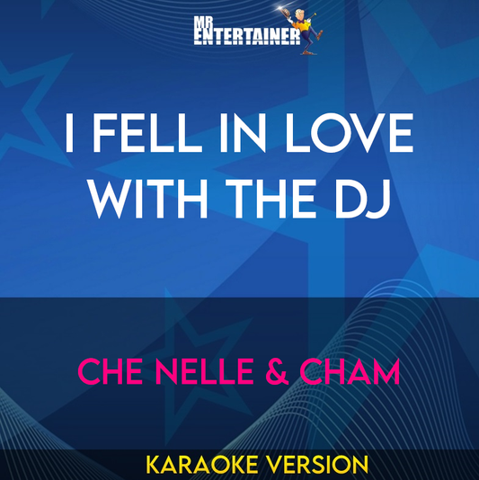 I Fell In Love With The Dj - Che Nelle & Cham (Karaoke Version) from Mr Entertainer Karaoke