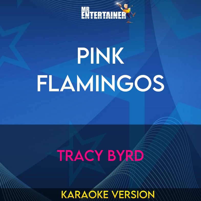 Pink Flamingos - Tracy Byrd (Karaoke Version) from Mr Entertainer Karaoke