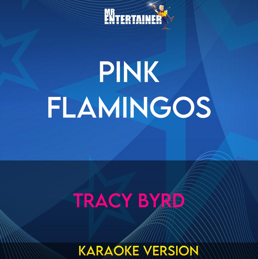 Pink Flamingos - Tracy Byrd (Karaoke Version) from Mr Entertainer Karaoke