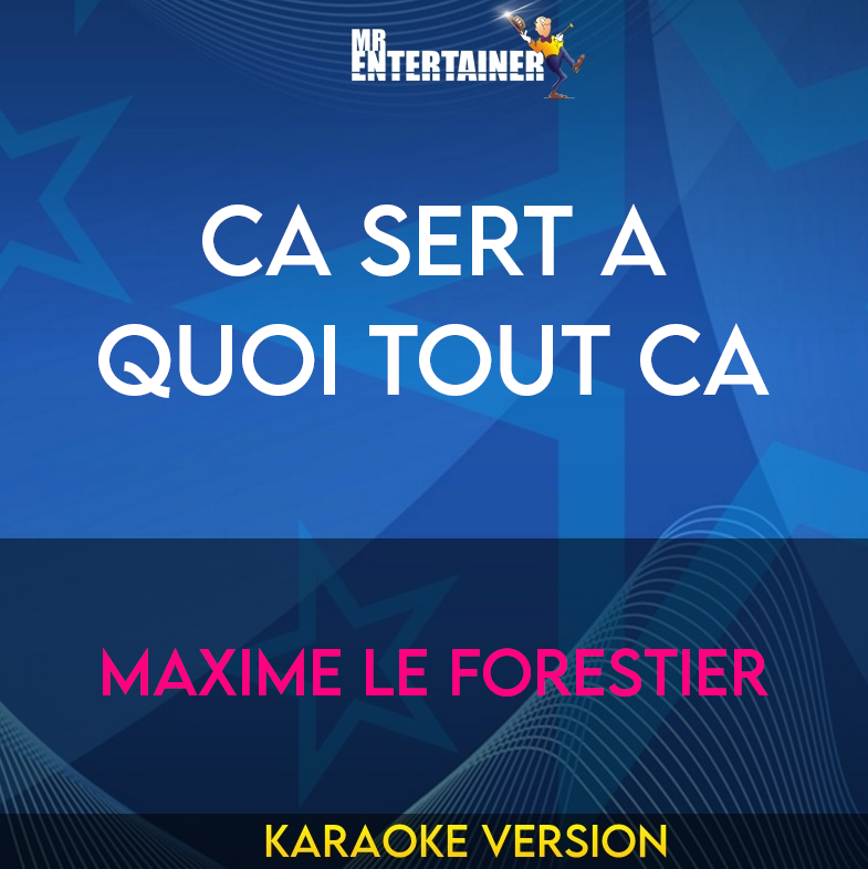 Ca Sert A Quoi Tout Ca - Maxime Le Forestier (Karaoke Version) from Mr Entertainer Karaoke